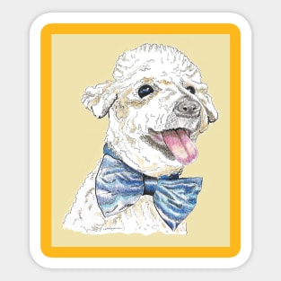 Rescue poodle Sticker